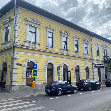 City Center Apartman Satu Mare Luaran gambar
